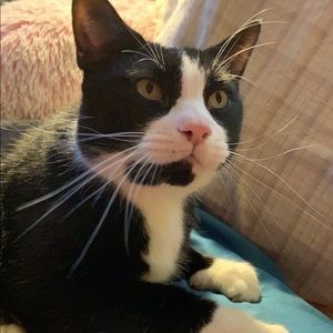 Meet your Posher, Claire